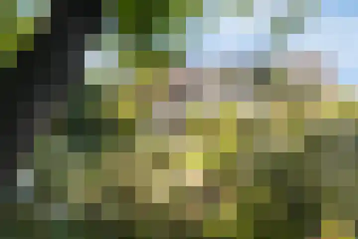 Vlasven 13 Eindhoven thumbnail 4