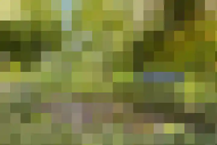 Vlasven 13 Eindhoven thumbnail 40