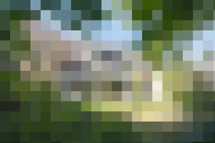 Vlasven 13 Eindhoven thumbnail 41