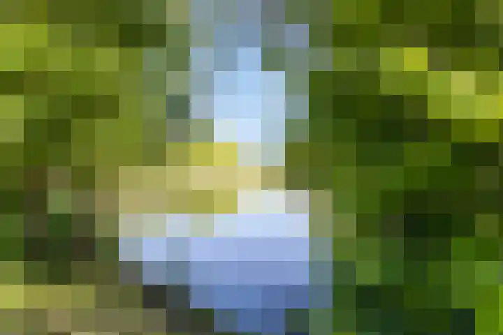 Vlasven 13 Eindhoven thumbnail 42