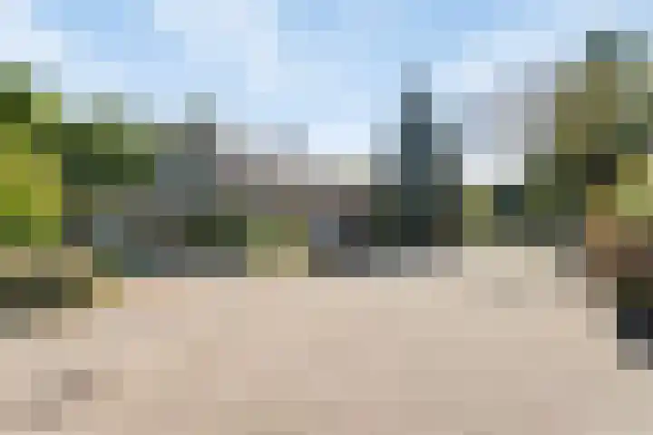 Vlasven 13 Eindhoven thumbnail 7
