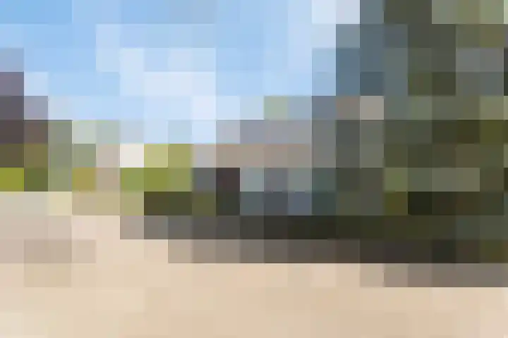Vlasven 13 Eindhoven thumbnail 8