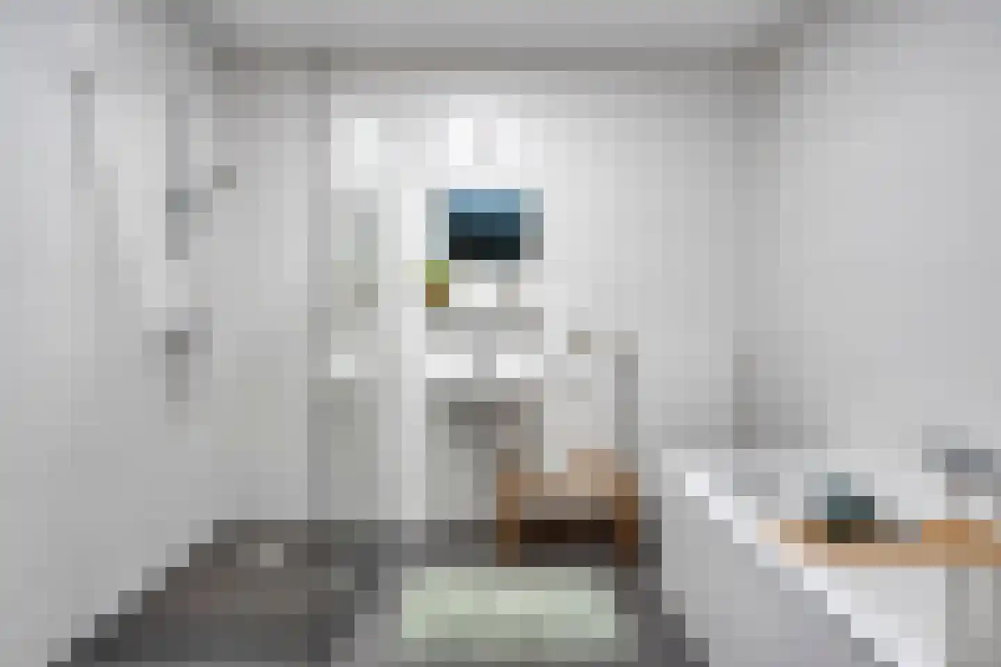 Vlasven 137 Veghel thumbnail 19