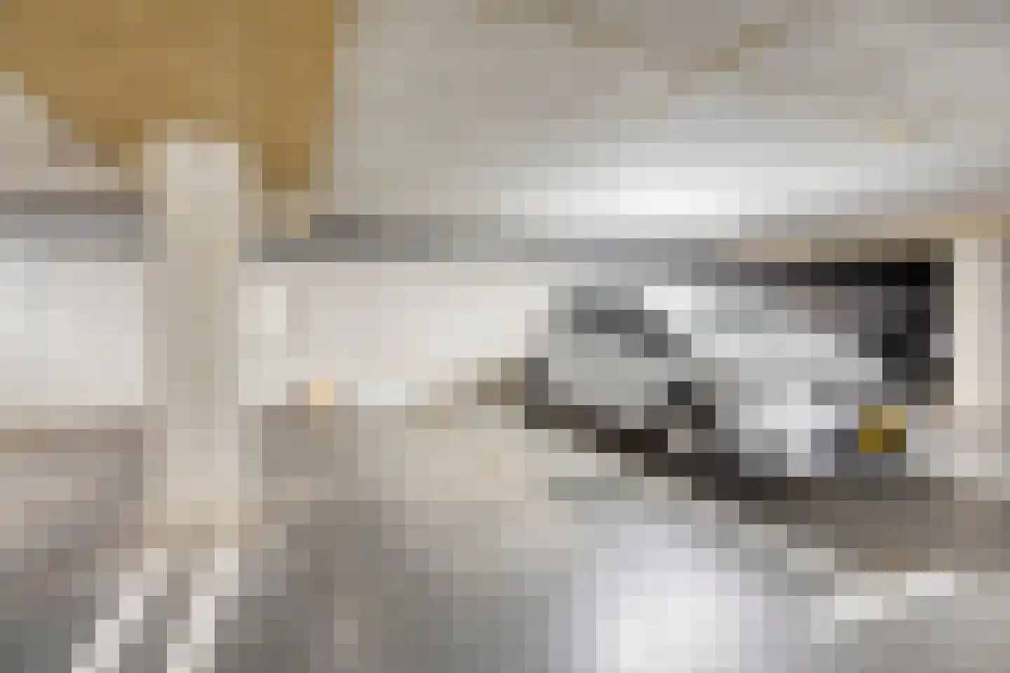 Vlasven 137 Veghel thumbnail 24