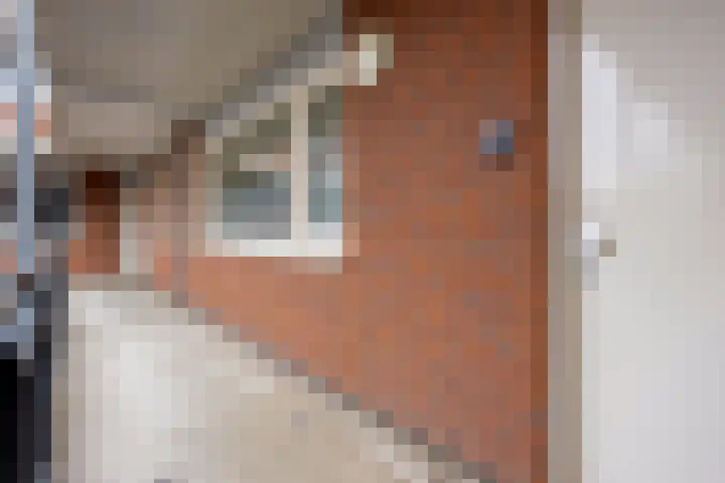 Vlasven 137 Veghel thumbnail 26