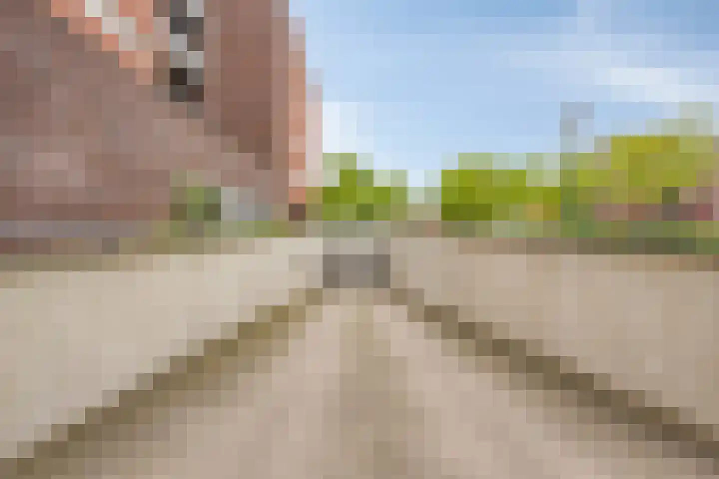 Vlasven 137 Veghel thumbnail 31