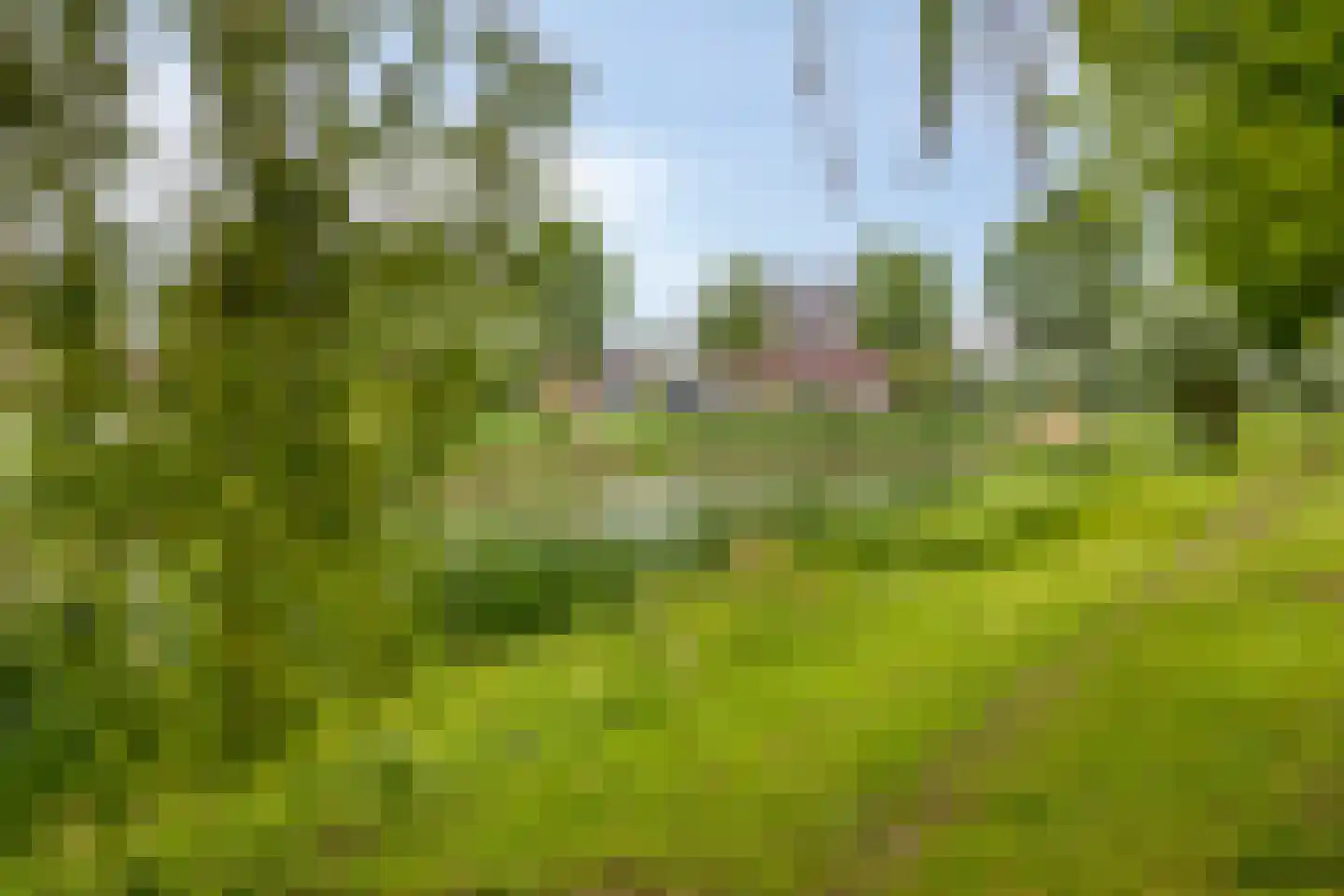 Vlasven 137 Veghel thumbnail 33