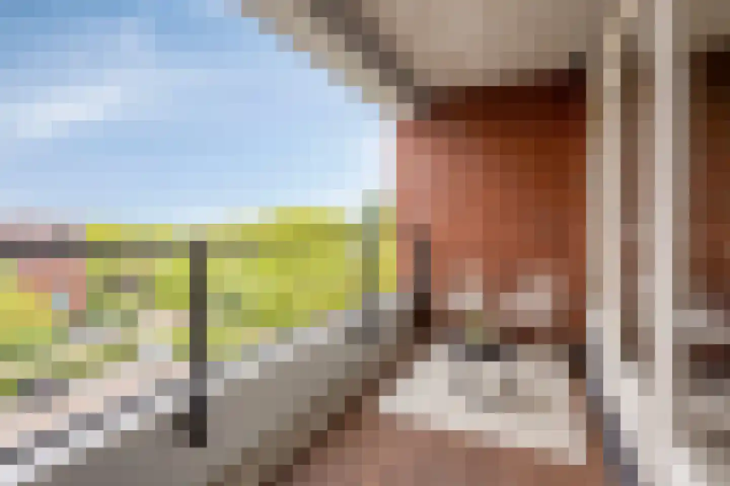 Vlasven 137 Veghel thumbnail 9