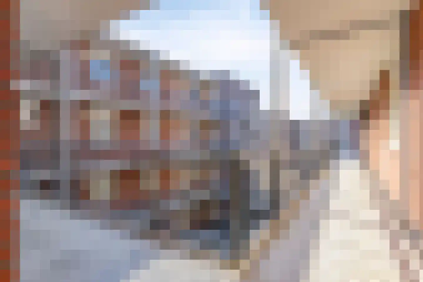 Vlasven 140 Veghel thumbnail 10