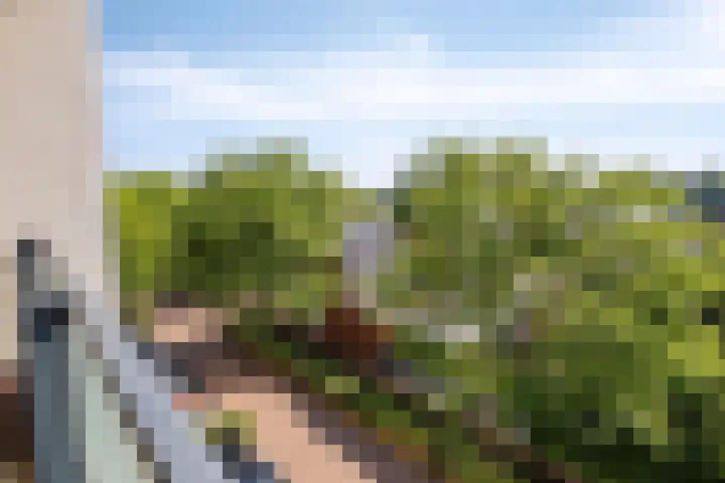 Vlasven 140 Veghel thumbnail 28