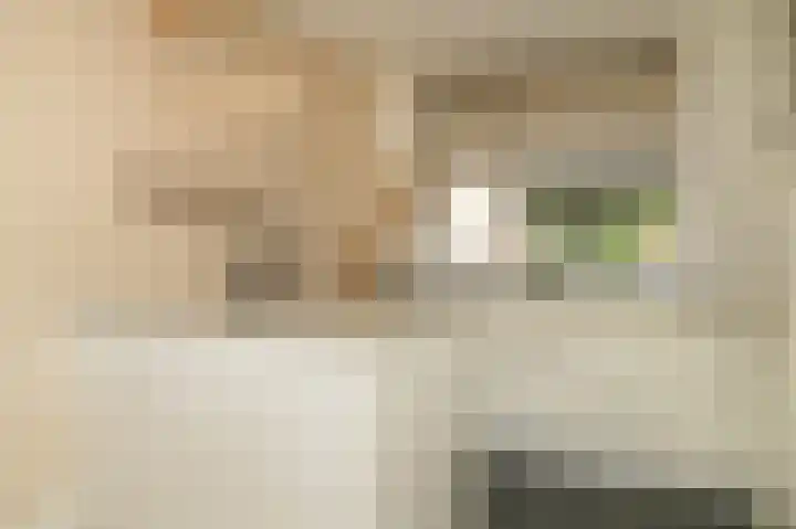 Vlasven 153 Veghel thumbnail 10