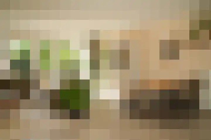 Vlasven 153 Veghel thumbnail 13