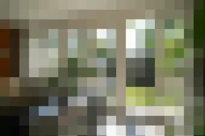 Vlasven 153 Veghel thumbnail 14