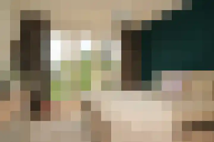 Vlasven 153 Veghel thumbnail 21
