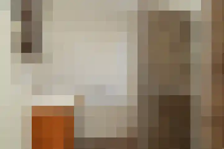 Vlasven 153 Veghel thumbnail 26