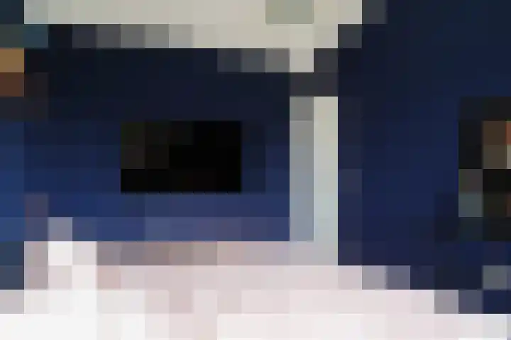 Vlasven 153 Veghel thumbnail 31