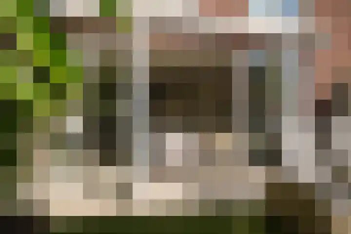 Vlasven 153 Veghel thumbnail 35