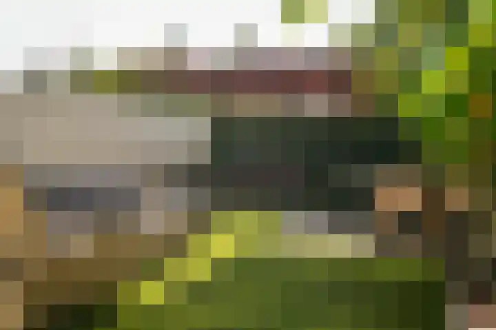 Vlasven 153 Veghel thumbnail 36