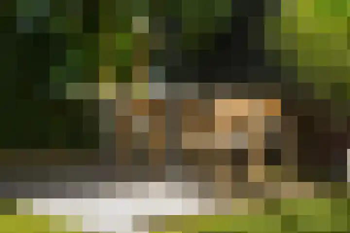 Vlasven 153 Veghel thumbnail 37