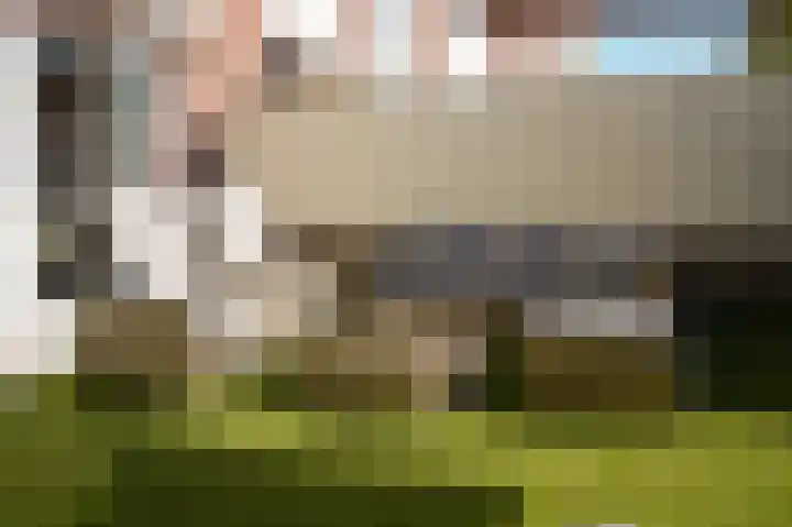 Vlasven 153 Veghel thumbnail 38