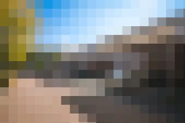 Vlasven 153 Veghel thumbnail 42