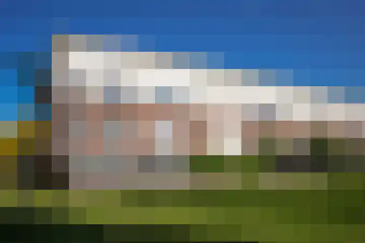Vlasven 153 Veghel thumbnail 43