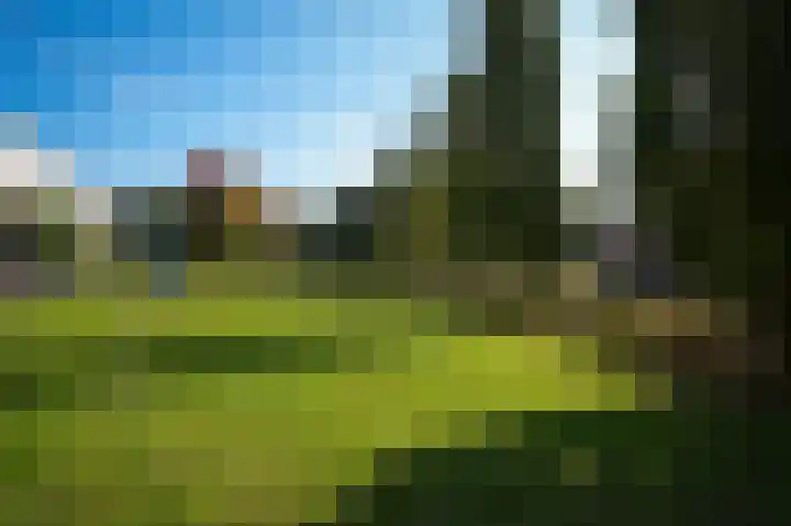 Vlasven 153 Veghel thumbnail 44