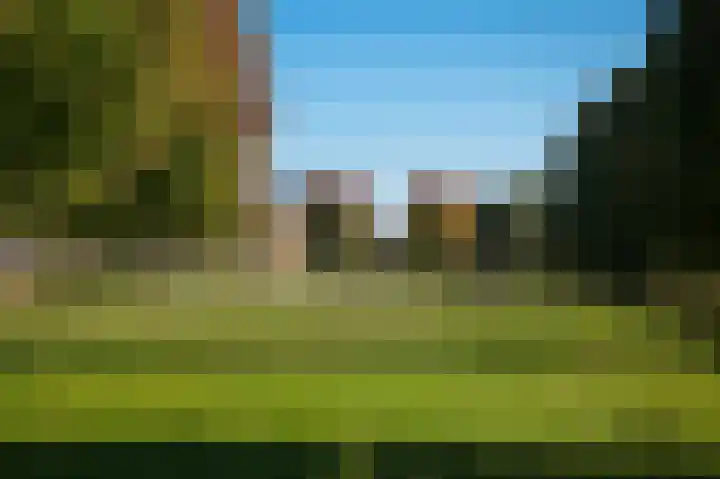 Vlasven 153 Veghel thumbnail 45