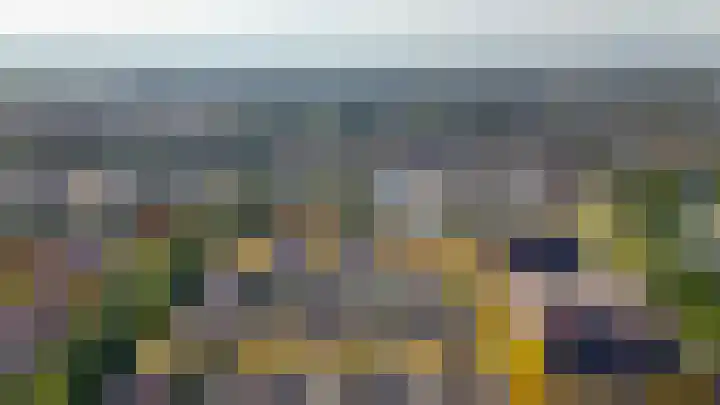 Vlasven 153 Veghel thumbnail 47