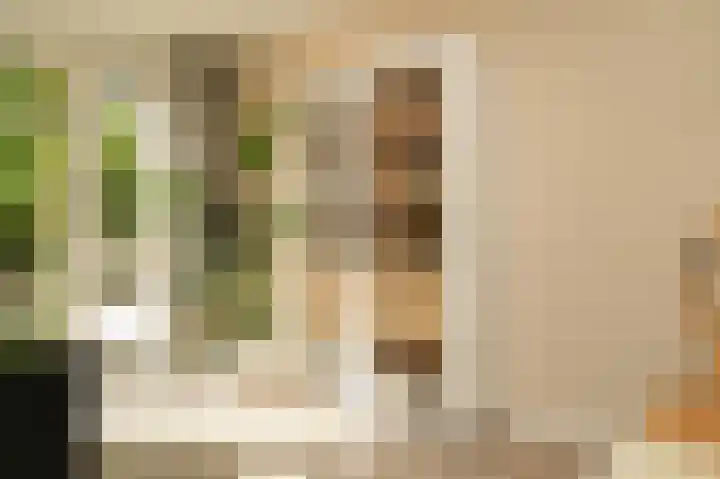 Vlasven 153 Veghel thumbnail 7