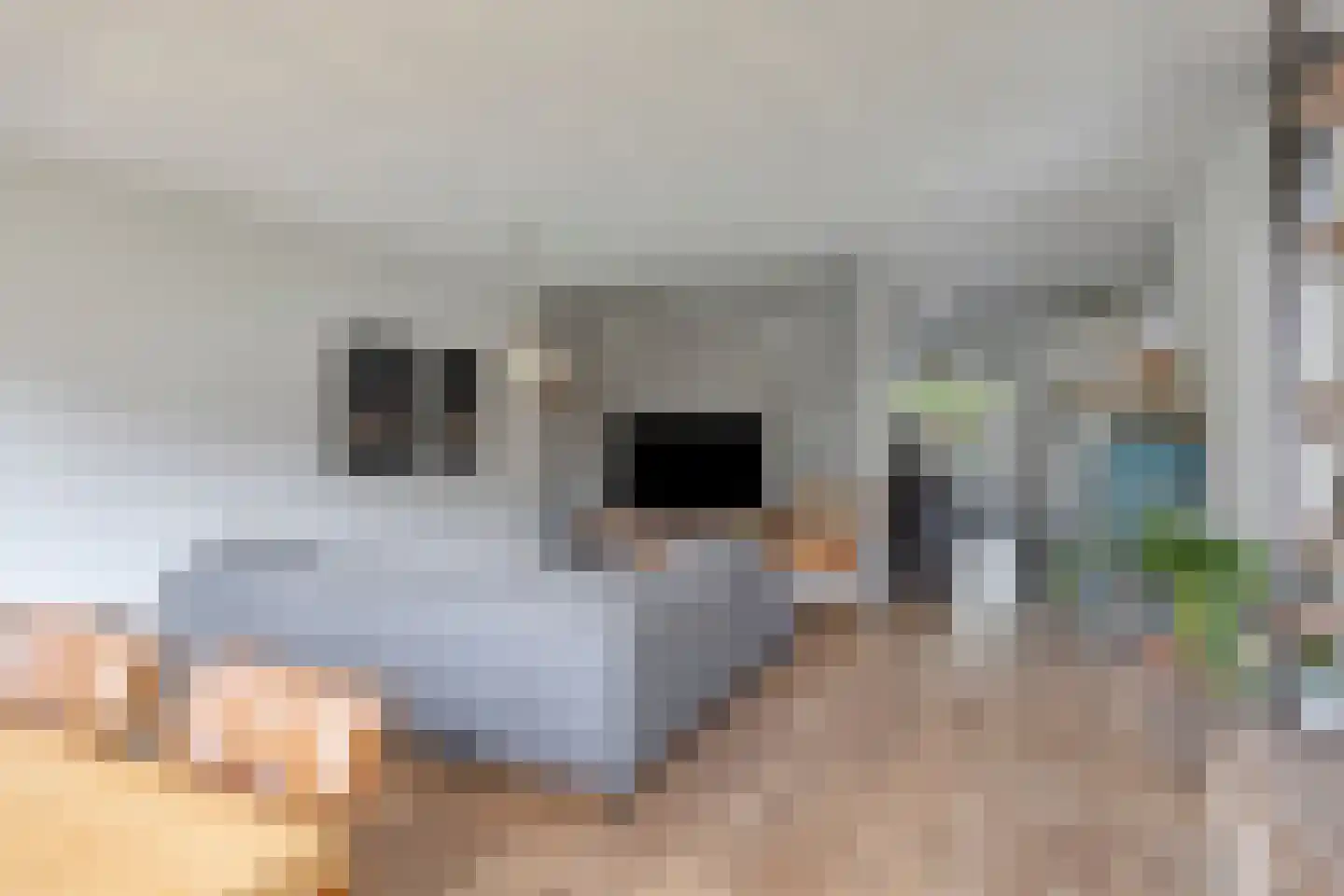 Vlasven 179 Veghel thumbnail 14