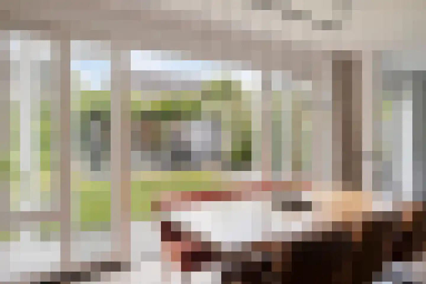 Vlasven 179 Veghel thumbnail 16