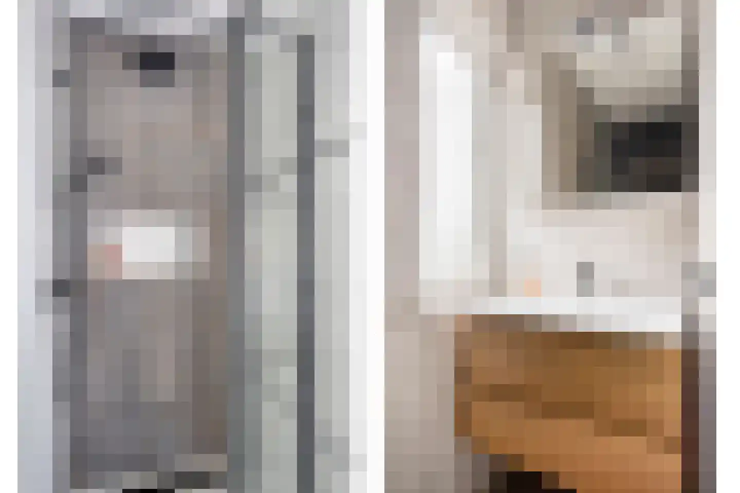 Vlasven 179 Veghel thumbnail 26