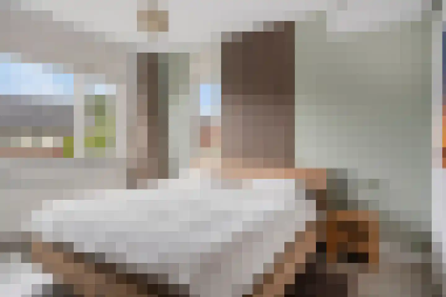 Vlasven 179 Veghel thumbnail 28