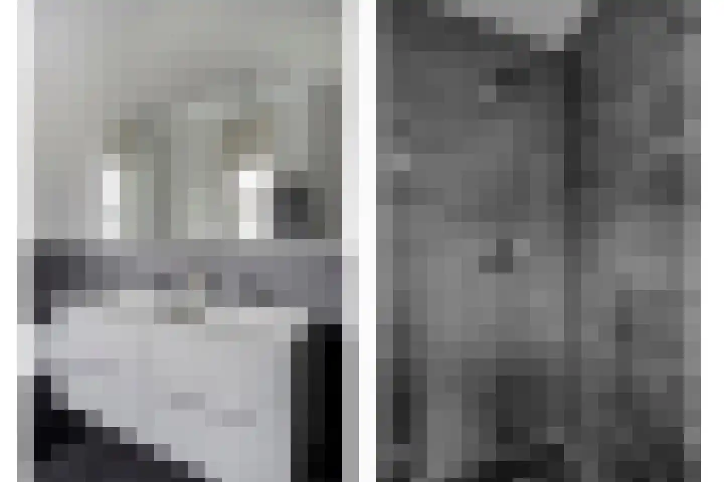 Vlasven 179 Veghel thumbnail 32
