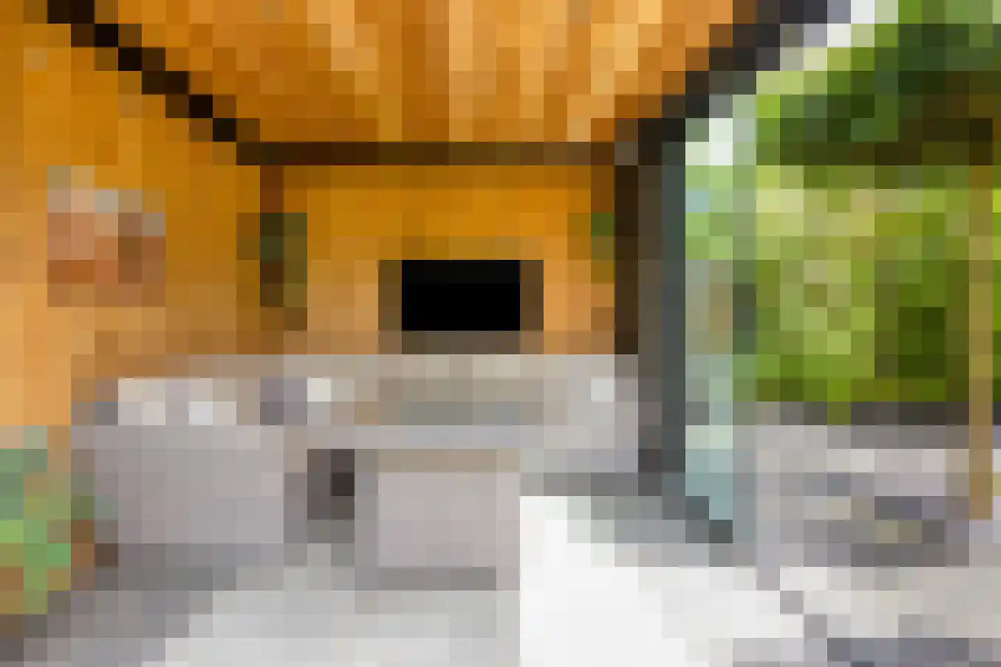 Vlasven 179 Veghel thumbnail 42