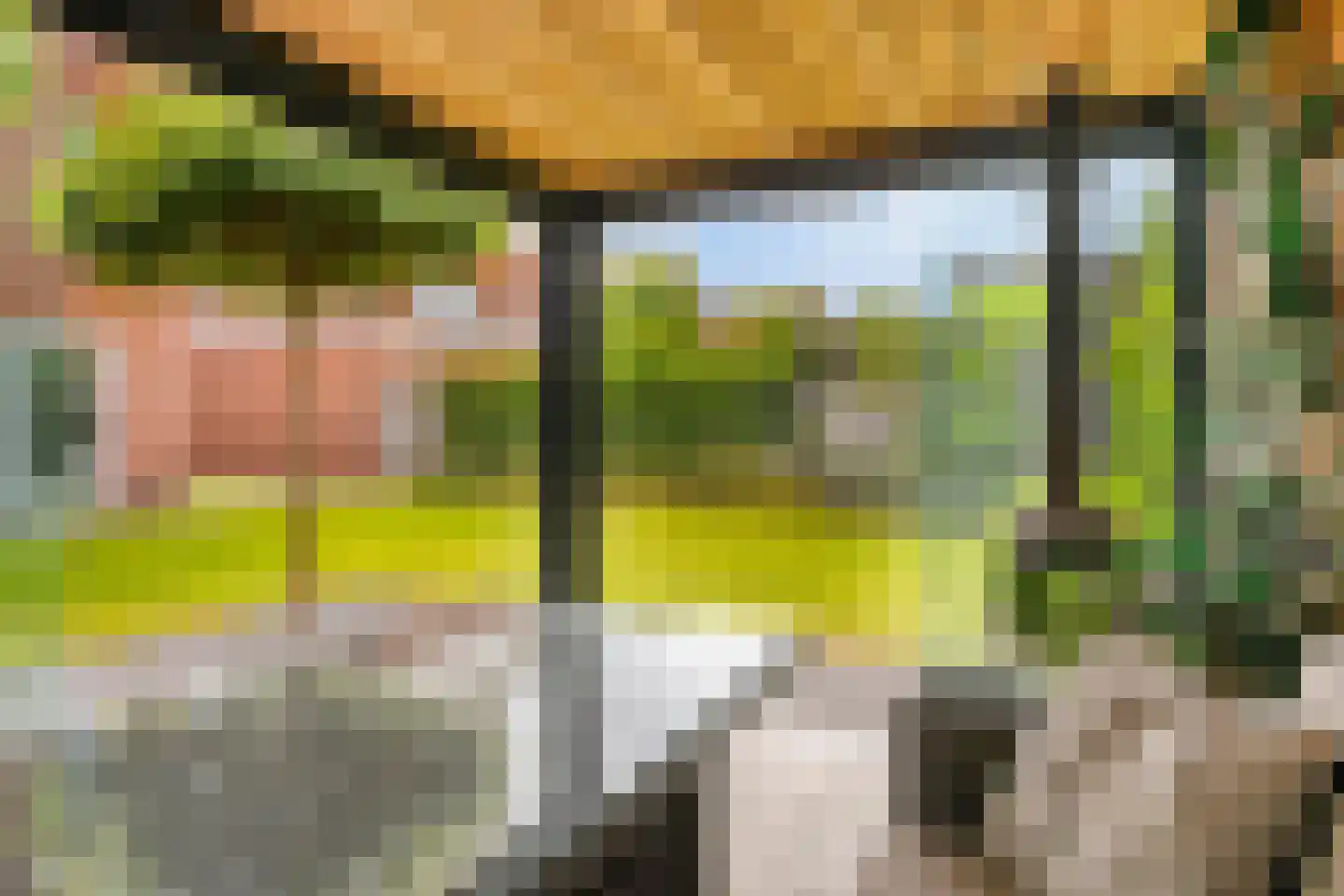 Vlasven 179 Veghel thumbnail 43
