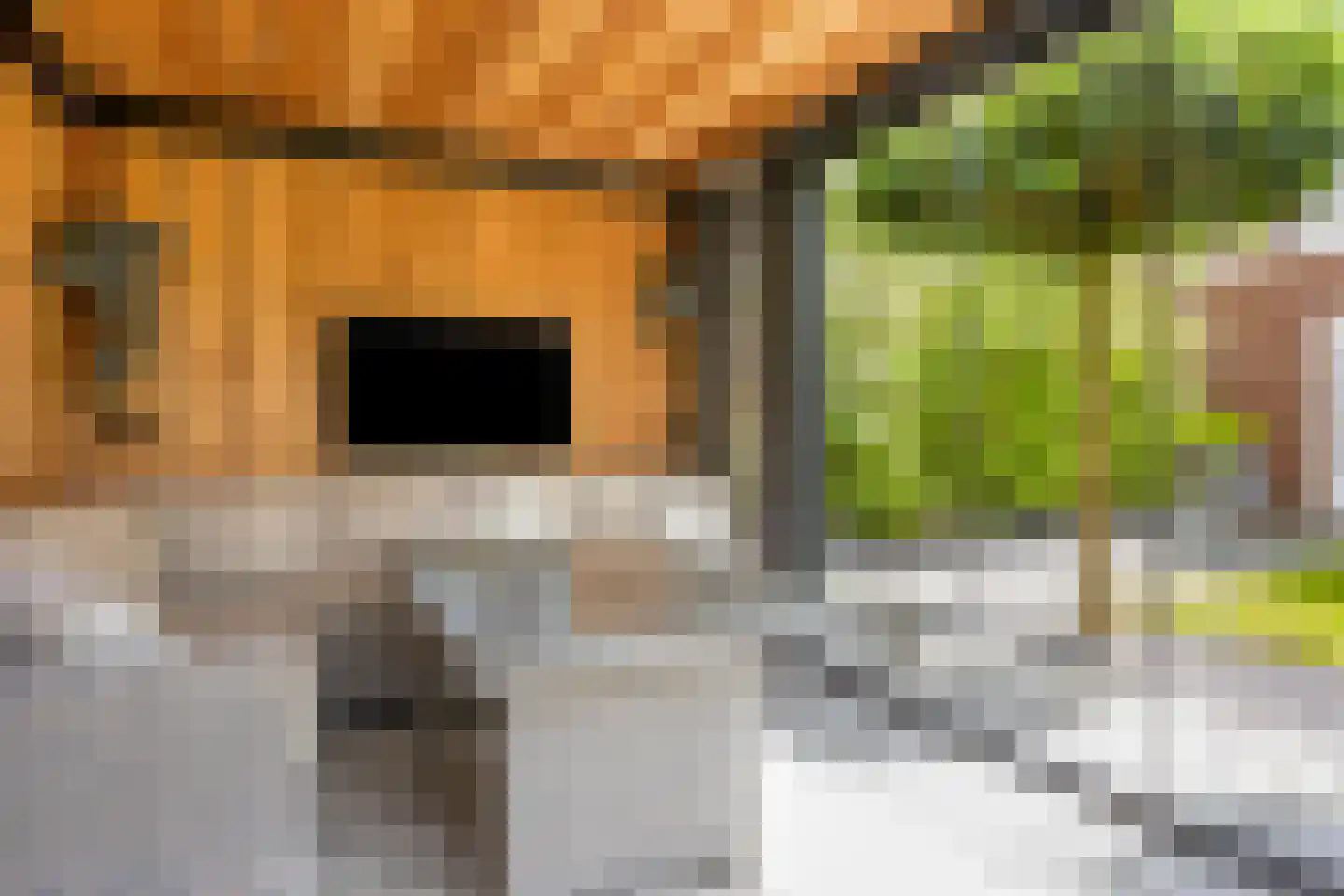 Vlasven 179 Veghel thumbnail 44