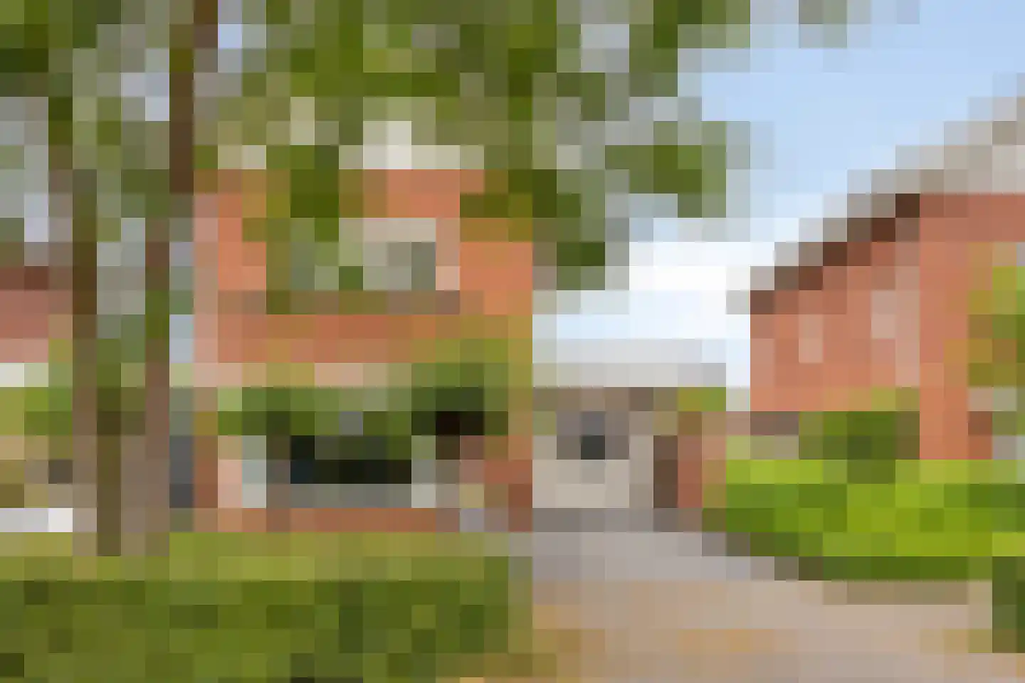 Vlasven 179 Veghel thumbnail 45