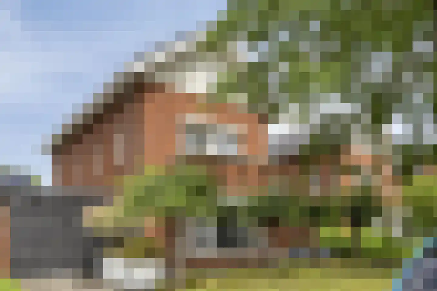 Vlasven 179 Veghel thumbnail 46
