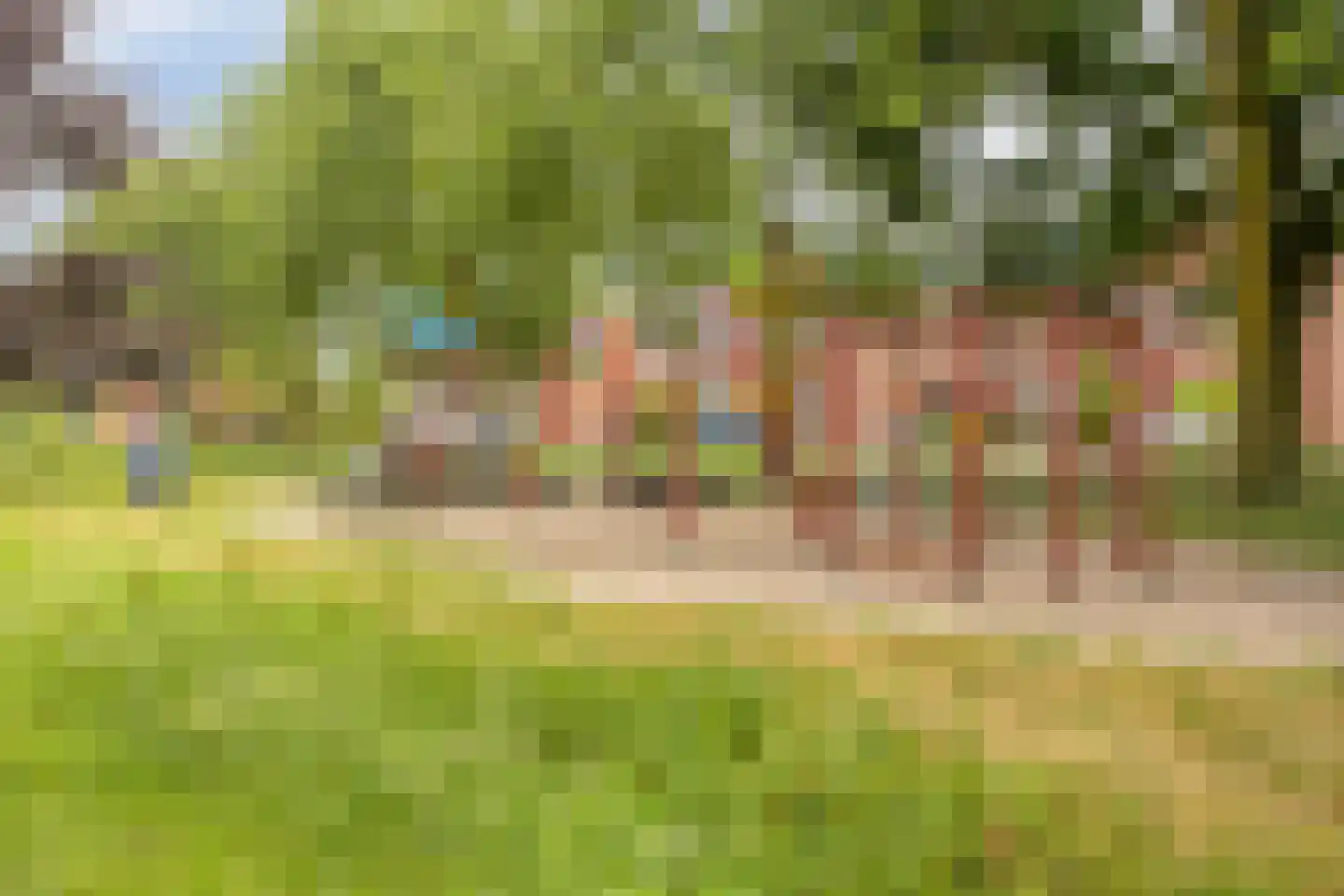 Vlasven 179 Veghel thumbnail 47