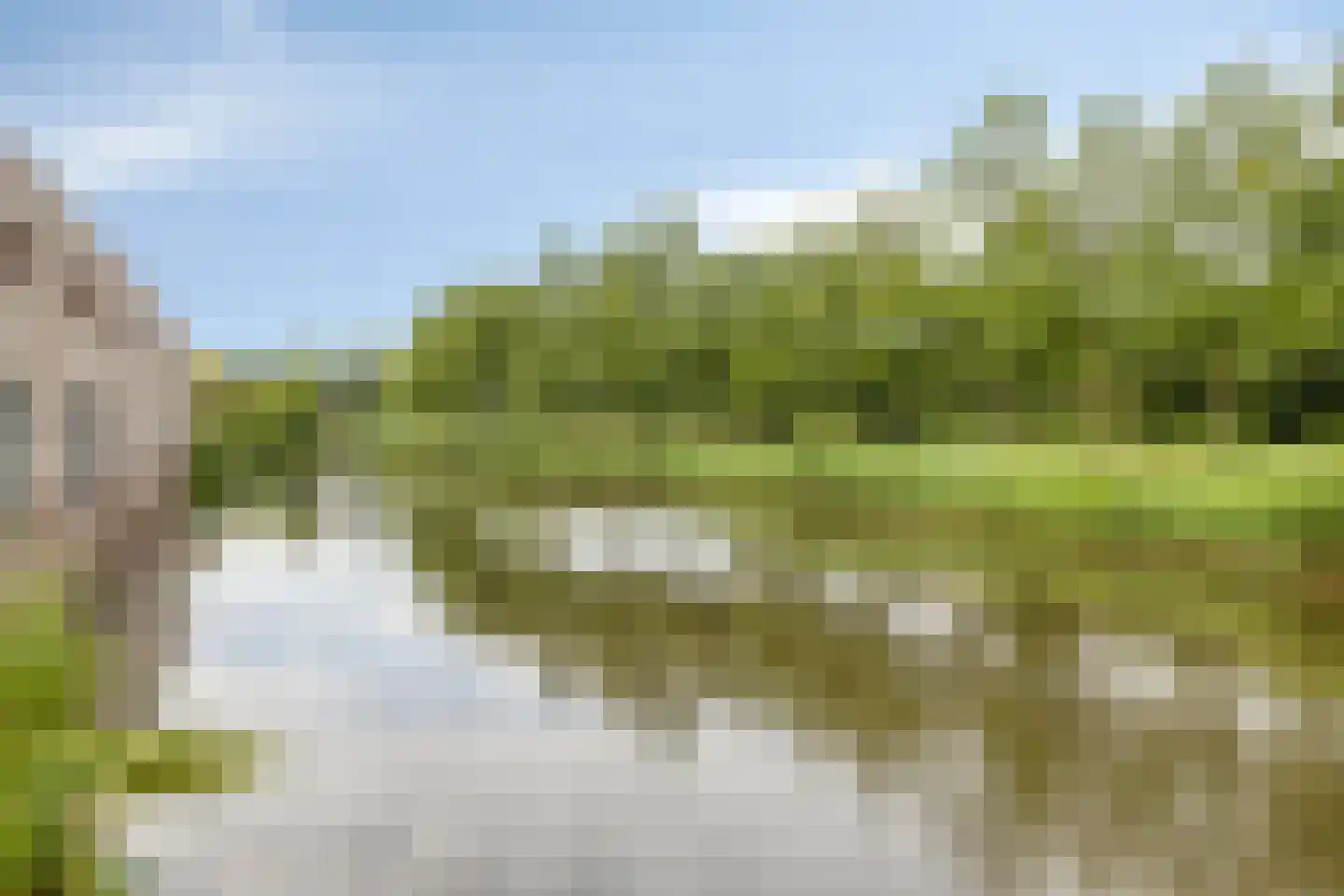 Vlasven 179 Veghel thumbnail 49