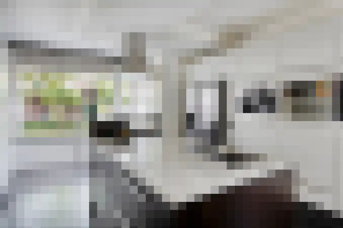 Vlasven 179 Veghel thumbnail 9