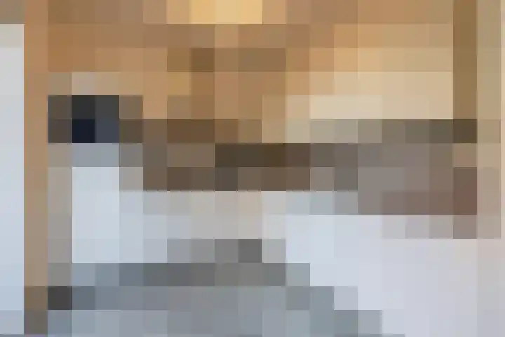 Vlasven 186 Veghel thumbnail 12