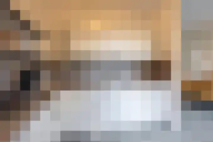 Vlasven 186 Veghel thumbnail 13
