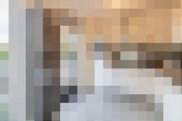 Vlasven 186 Veghel thumbnail 14