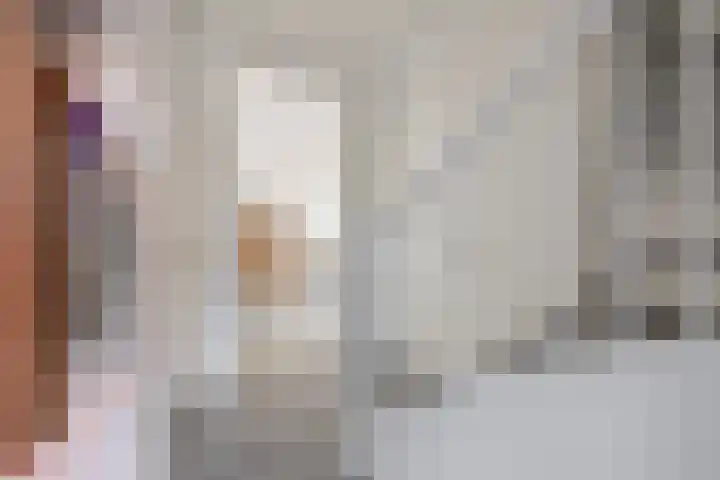Vlasven 186 Veghel thumbnail 15
