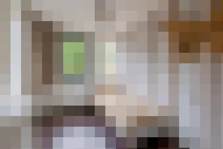 Vlasven 186 Veghel thumbnail 17