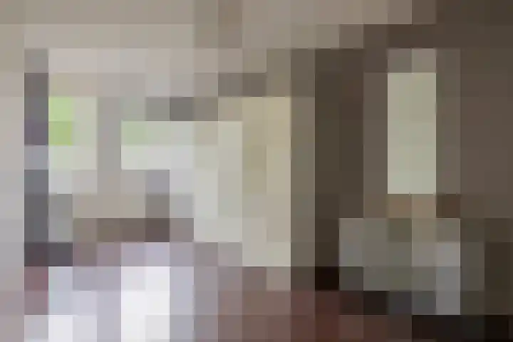 Vlasven 186 Veghel thumbnail 18