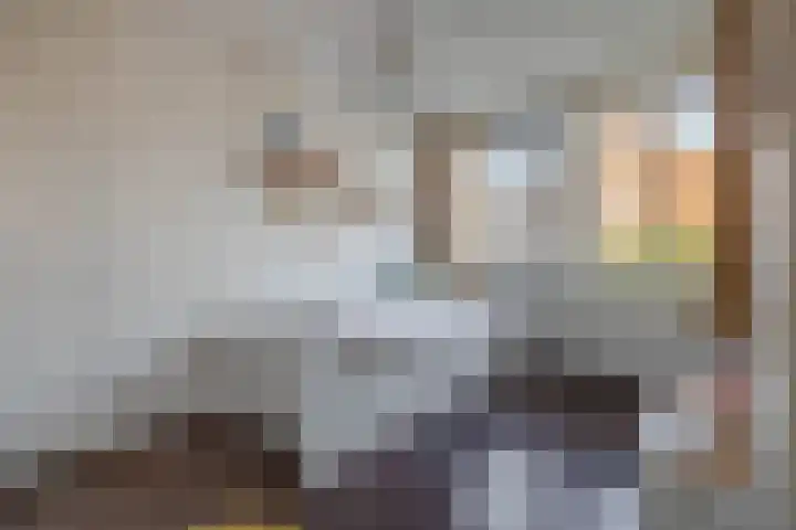 Vlasven 186 Veghel thumbnail 19